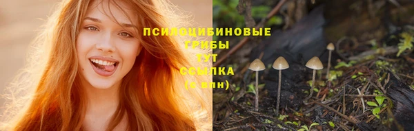 экстази Белокуриха