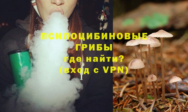 метадон Беломорск