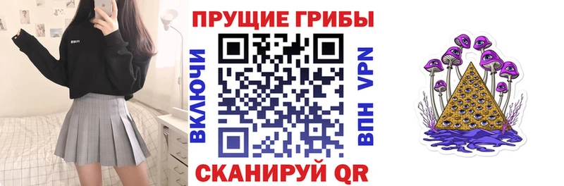 Псилоцибиновые грибы MAGIC MUSHROOMS  купить наркотик  Новоалтайск 